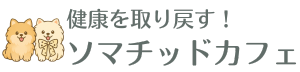 健康を取り戻す！ソマチッドカフェ